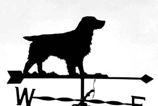 Springer Spaniel weather vane